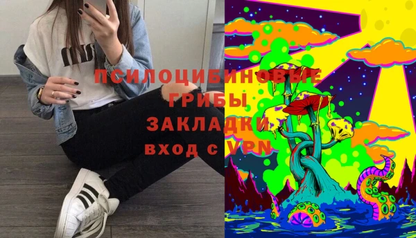 мяу мяу кристалл Липки