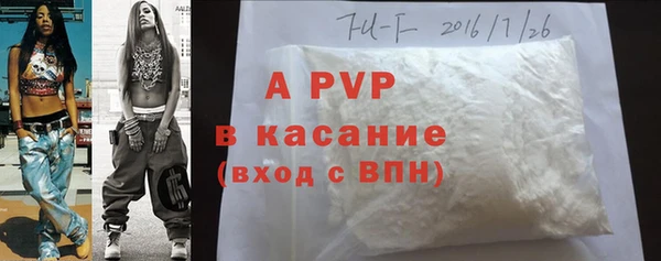 ECSTASY Лиски