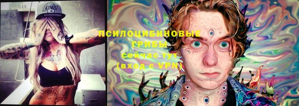 гашик Лихославль