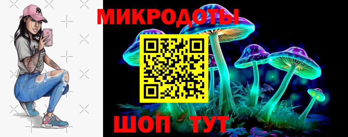 Энгельс  Галлюциногенные грибы прущие грибы  Вход с VPN 